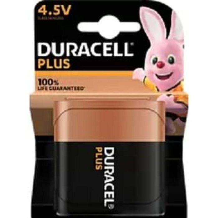 Pilas DURACELL 1