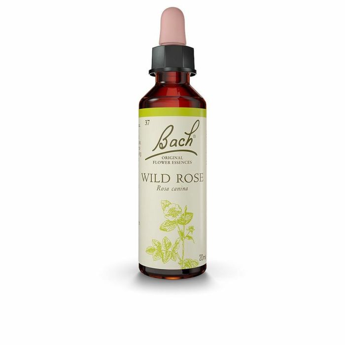 Flores Bach Original Wild Rose Rosa Silvestre 20ml