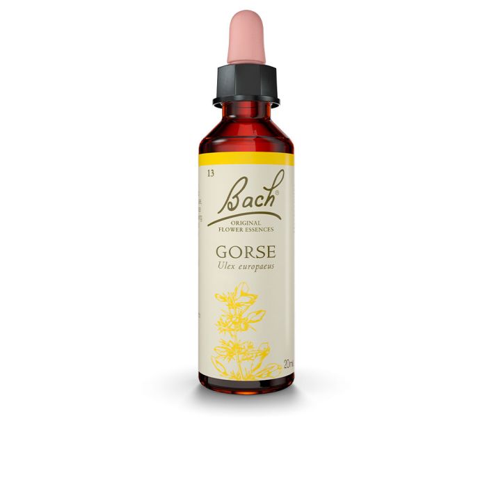 Flores Bach Original Gorse Aulaga 20ml