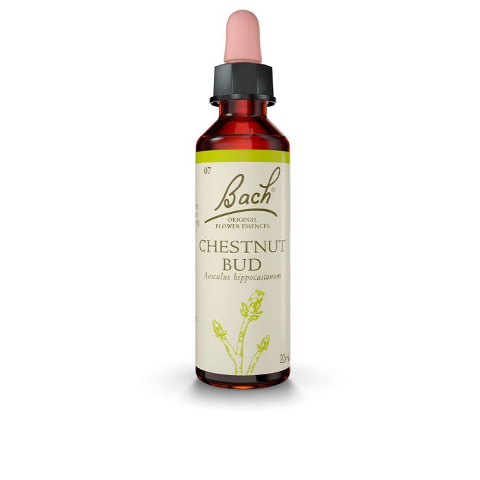 Flores de bach (07) chestnut bud 20 ml Flores de bach (07) chestnut bud 20 ml