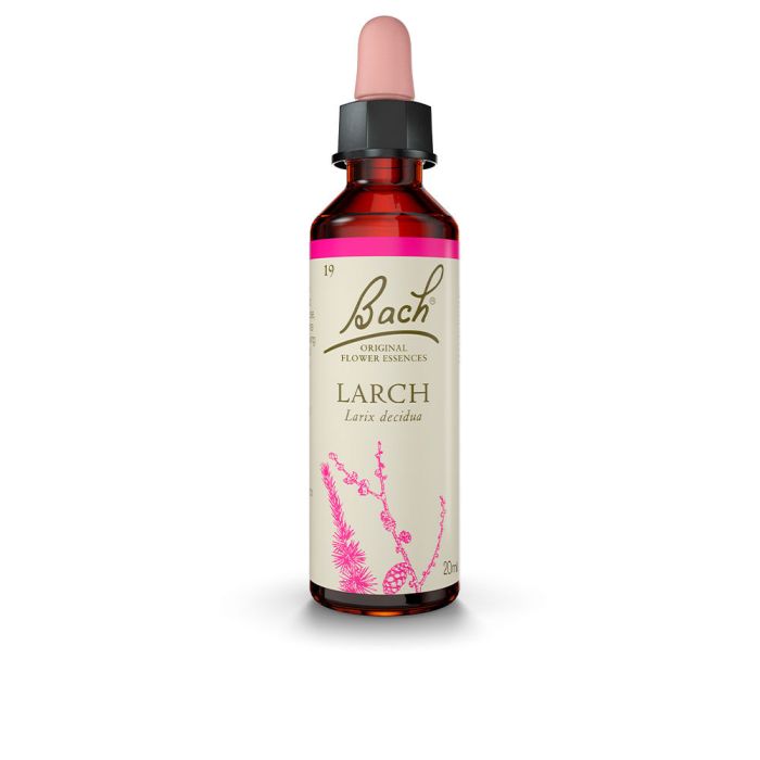 Flores de bach (19) larch 20 ml Flores de bach (19) larch 20 ml
