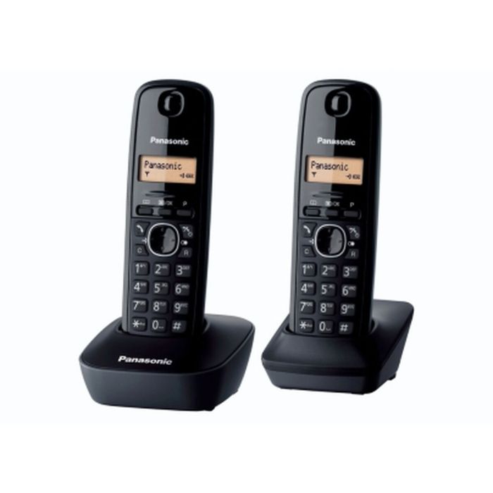 Teléfono Panasonic KX-TG1612 1