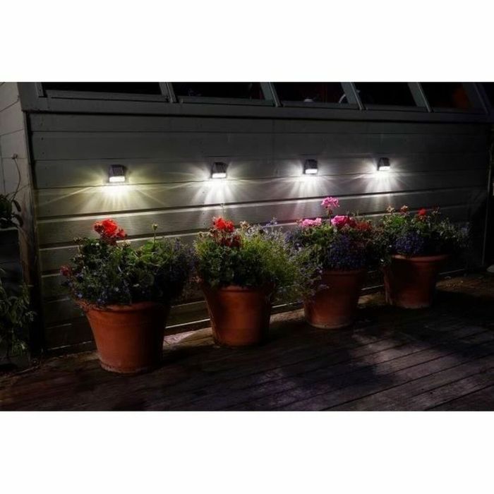 Aplique de Pared Smart Garden Plástico 3 Lm (4 Unidades) 2