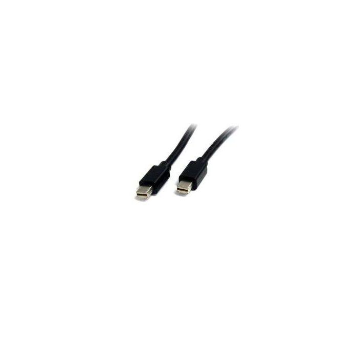 Cables Audio-Video Startech Cable De 2M Mini Displayport 1