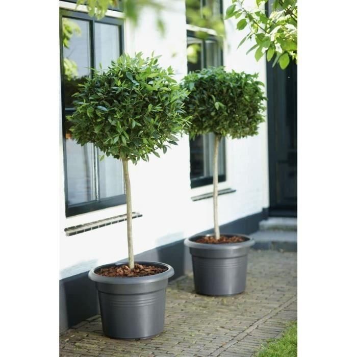 Basos verdes Red Round Flower Pot - Plastic - Ø45 - Terracota suave 4 Basos verdes Red Round Flower Pot - Plastic - Ø45 - Terracota suave 4