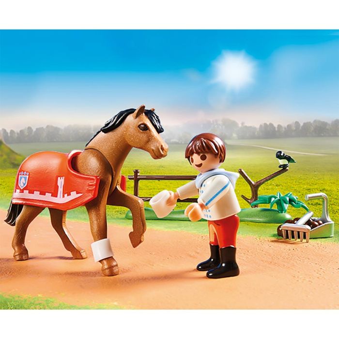 Poni Coleccionable Connemara 70516 Playmobil 1