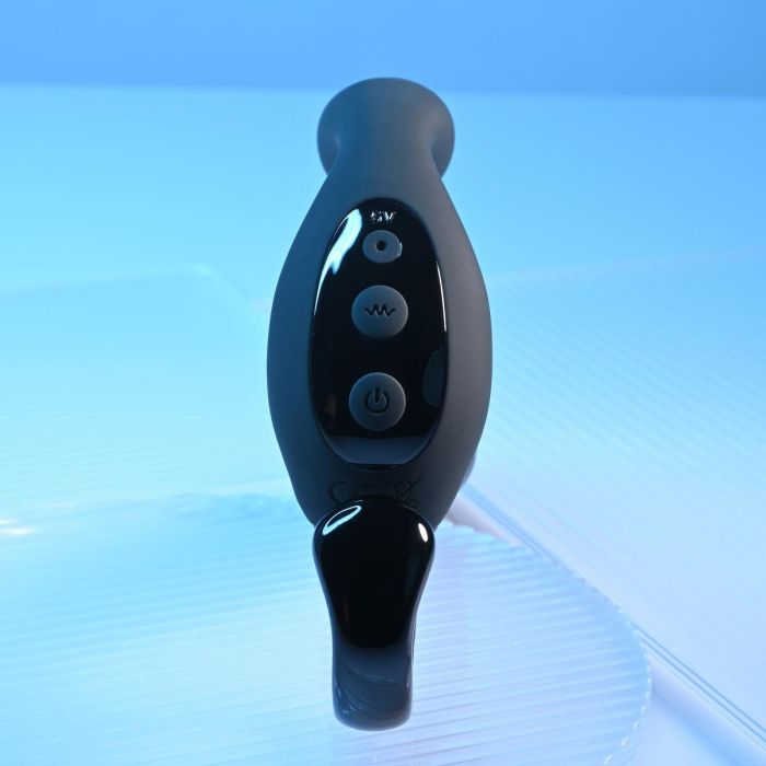 Vibrador anal Playboy Playboy Negro 18 Vibrador anal Playboy Playboy Negro 18