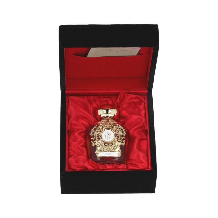 Perfume Unisex Tiziana Terenzi Adhil Assoluto 100 ml 0 Perfume Unisex Tiziana Terenzi Adhil Assoluto 100 ml 0