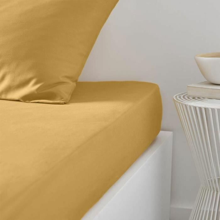 Today TOD3574641207403 Textil de Cama Hoy Esencial Charg 100% Algodón Ocre 140x190 cm para 2 Personas 1 Today TOD3574641207403 Textil de Cama Hoy Esencial Charg 100% Algodón Ocre 140x190 cm para 2 Personas 1