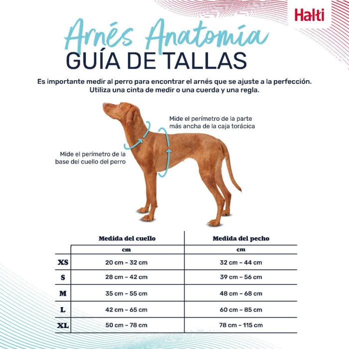 Arnés para Perro Company of Animals Turquesa M 35-55 cm 3