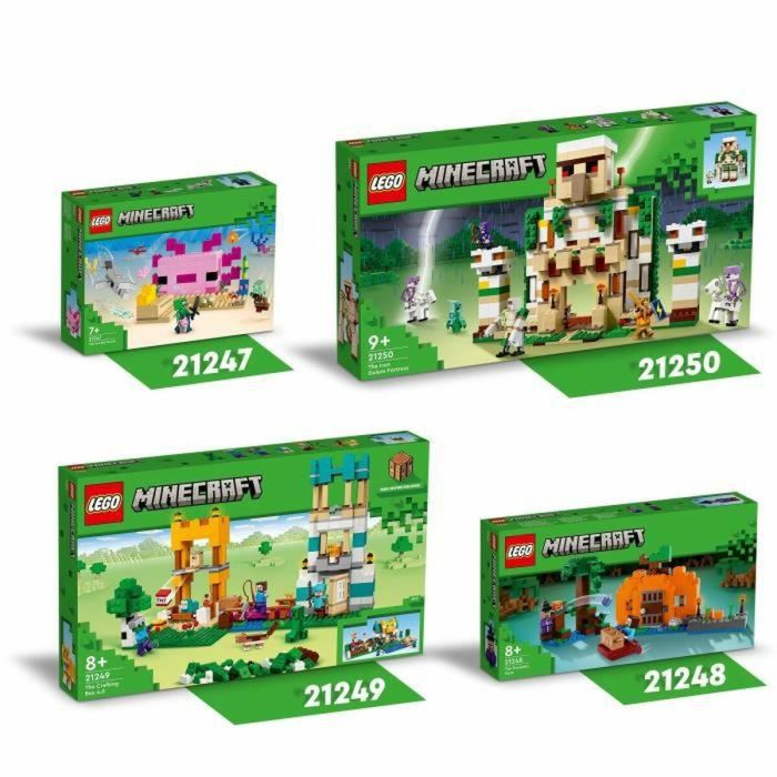 Playset Lego 21249 Multicolor 2