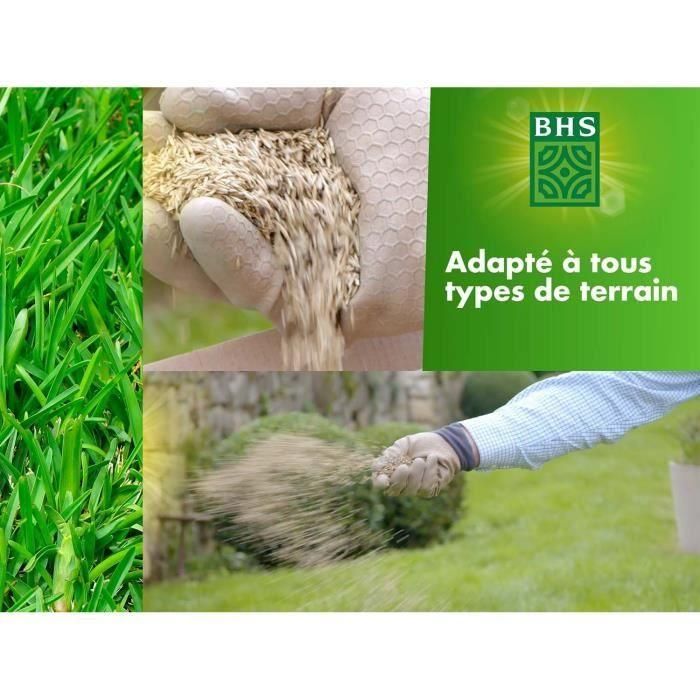 Césped - BHS - Césped rústico - 5 kg - Jardines tradicionales - Todo tipo de suelo - Denso y estético - Instalación rápida y duradera 4 Césped - BHS - Césped rústico - 5 kg - Jardines tradicionales - Todo tipo de suelo - Denso y estético - Instalación rápida y duradera 4