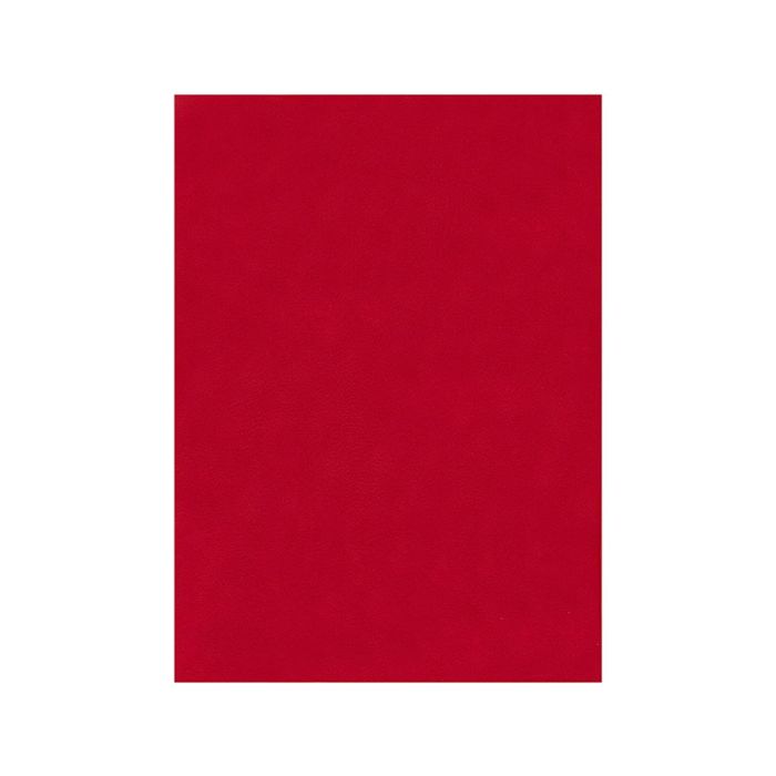 Fieltro Liderpapel 50x70 cm Rojo 160 gr-M2 10 unidades 1