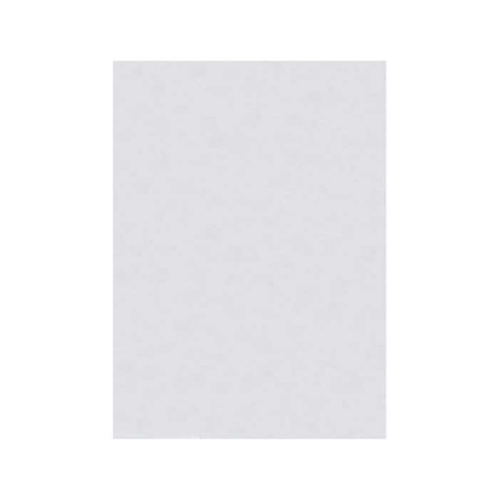 Fieltro Liderpapel 50x70 cm Blanco 160 gr-M2 10 unidades 1