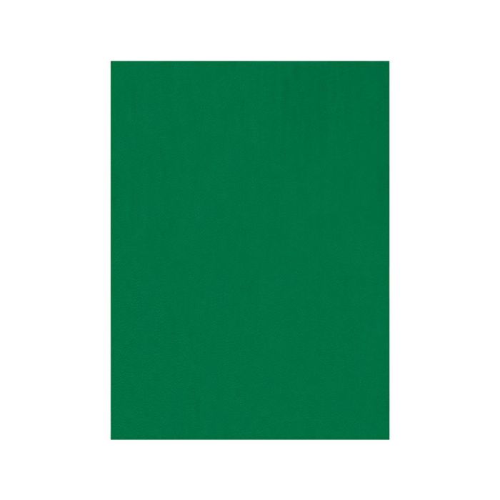 Fieltro Liderpapel 50x70 cm Verde 160 gr-M2 10 unidades 2