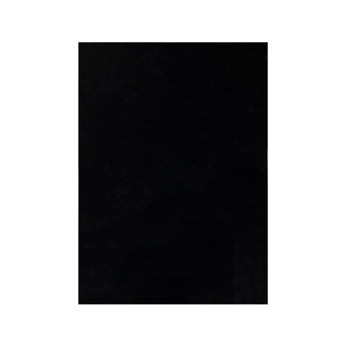 Fieltro Liderpapel 50x70 cm Negro 160 gr-M2 10 unidades 1