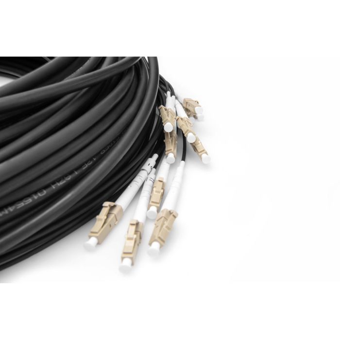 DIGITUS LWL Patchkabel LC->UPC 30m Vorkonfektioniert OM4 12 4 DIGITUS LWL Patchkabel LC->UPC 30m Vorkonfektioniert OM4 12 4
