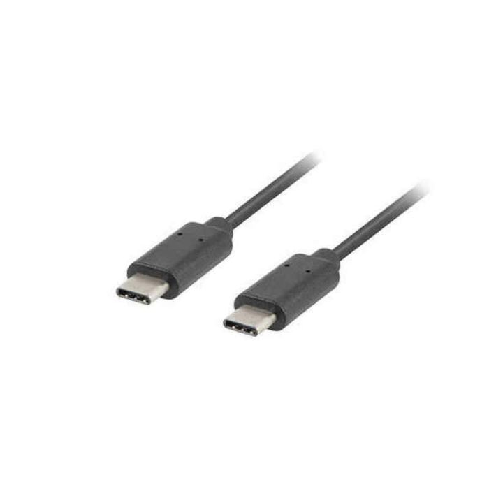 Cable USB C Lanberg 480 Mb/s Negro