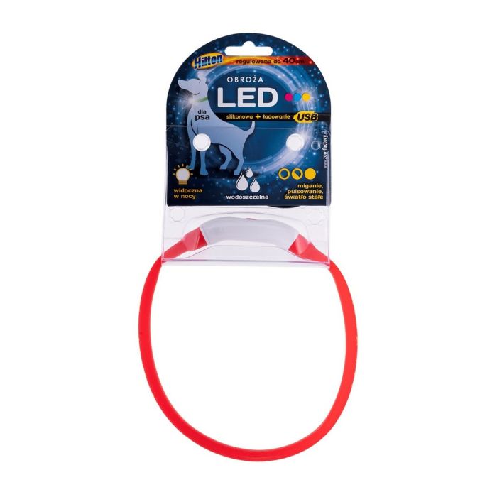 Correa para Perro Hilton LED 6 Correa para Perro Hilton LED 6