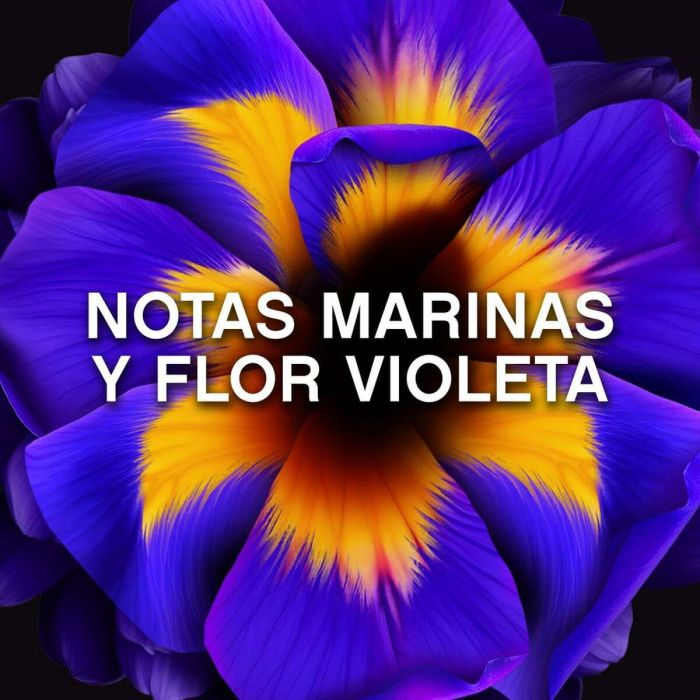 Lenor UNSTOPPABLES Perlas de Perfume Suavizante Ropa Frescor Violeta 270g - Frescura Duradera hasta 12 Semanas 1