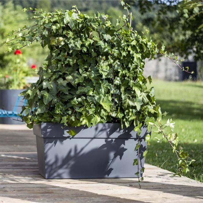 EDA Pared con ruedas Tuscany - 79 x 35 x H 39 cm - 74 L - Negro 2 EDA Pared con ruedas Tuscany - 79 x 35 x H 39 cm - 74 L - Negro 2
