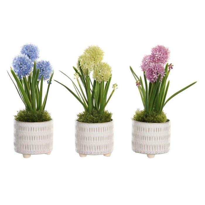 Planta DKD Home Decor Rosa Azul 15 x 30 x 15 cm (3 Unidades)