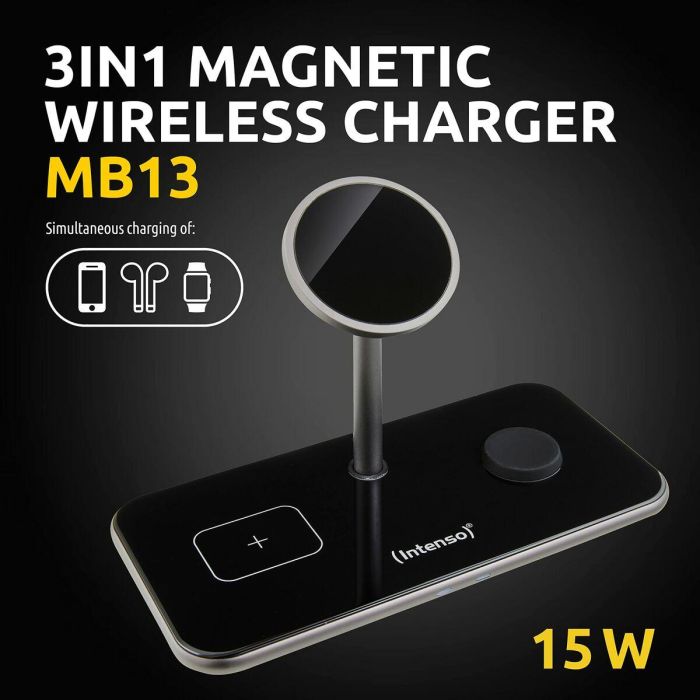 Cargador de Pared INTENSO 7410810 Negro 10
