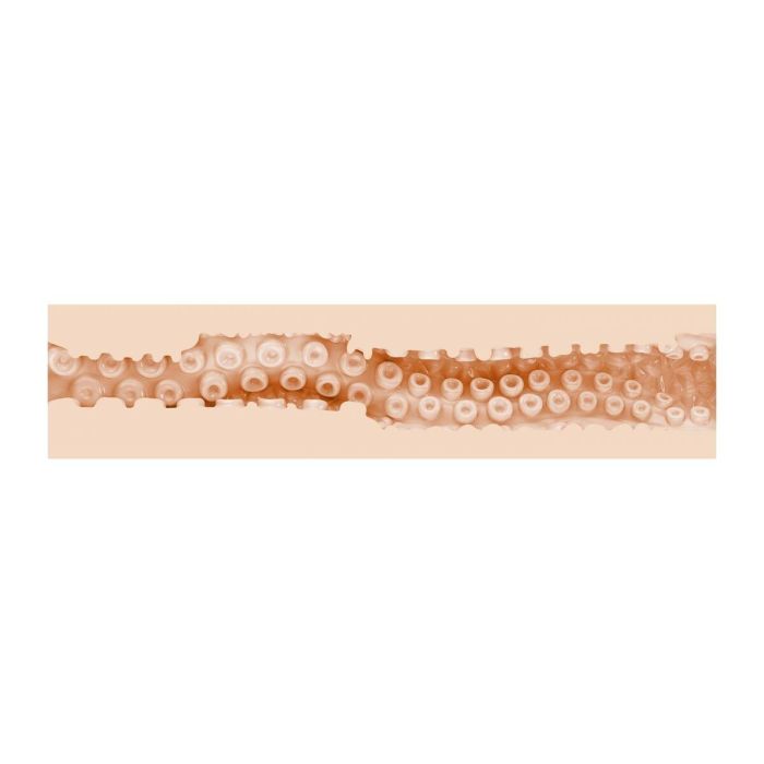 Masturbador Fleshlight SASHA NAKAMOTO Natural 6 Masturbador Fleshlight SASHA NAKAMOTO Natural 6