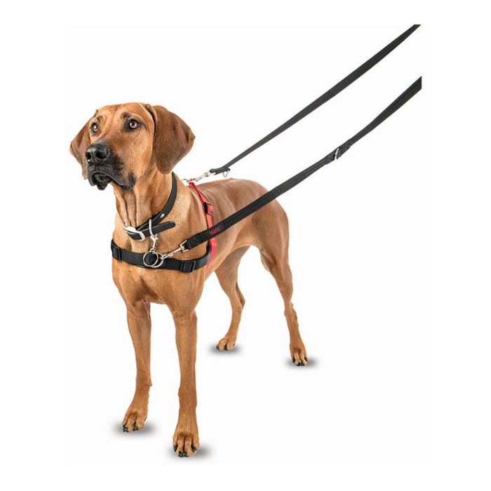 Halti Arnés de Control Delantero, ideal para Perros Medianos y Grandes, Talla L (cintura 80-120cm), Negro-Rojo 6