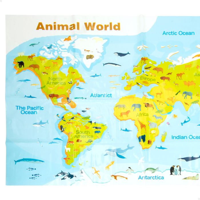 Set de Figuras de Animales Colorbaby Plástico 23 X 10 X 7 CM (4 Unidades) 4