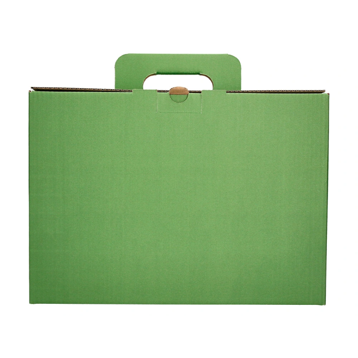 Liderpapel Caja Archivador Definitivo Reforzado con Asa 393x120x279mm Cartón Verde Cheque Libro 5