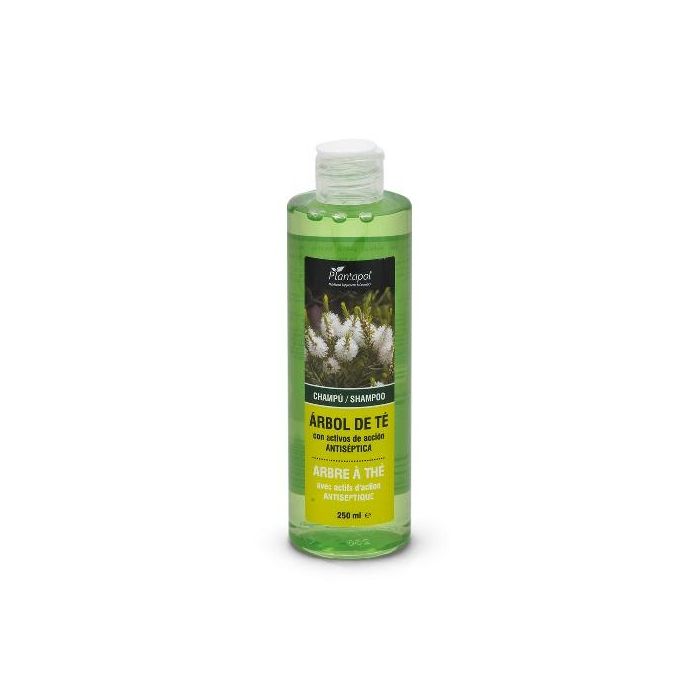 Champú Higienizante Árbol De Té Champú Higienizante Árbol De Té