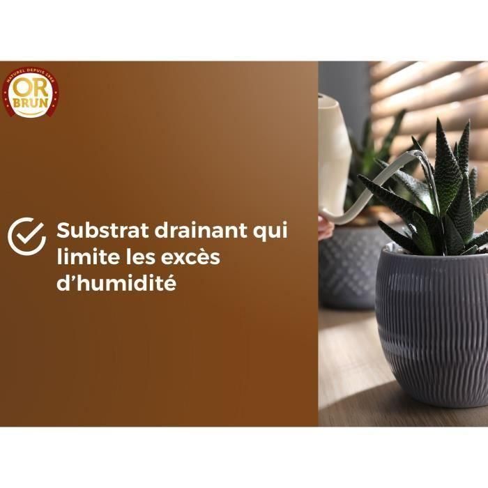 Sustrato para cactus y plantas suculentas - BROWN GOLD - OBRTCAC6U - 6L - Promueve el crecimiento 4 Sustrato para cactus y plantas suculentas - BROWN GOLD - OBRTCAC6U - 6L - Promueve el crecimiento 4