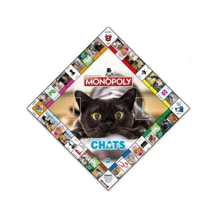 Winning Moves WIN5036905054621 Monopoly Cats: Juego de Mesa, Edición con Gatos en Diferentes Lugares para Movimientos Ganadores 1