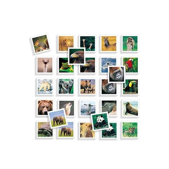 Juego memo photo animales con 54 fichas 4 Juego memo photo animales con 54 fichas 4