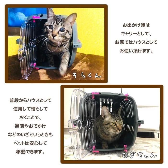 Ferplast Jet 10 Transportín para Gatos y Perros Pequeños, Colores Surtidos 2