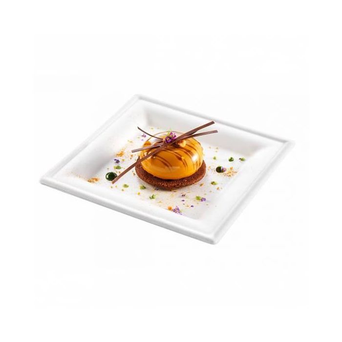 Set de 6 Platos Biodegradables Cuadrados 16 cm Algon (24 Cajas) 5