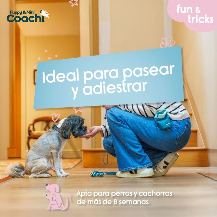 Arnés para Perro Coachi 3 Arnés para Perro Coachi 3
