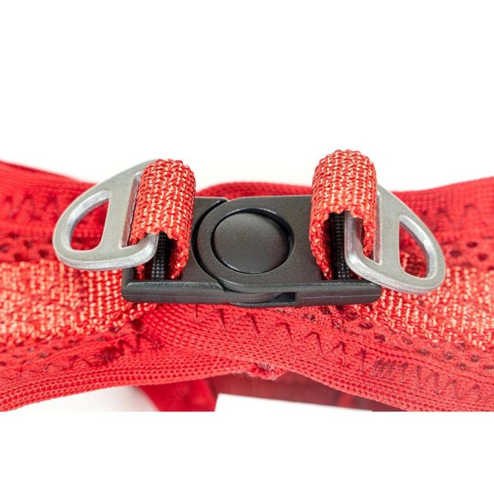 Gloria Arnés-Vestido Air Mesh Rojo Talla S Ligero Transpirable. Con Elementos Reflectantes y Efecto Refrescante. Cuello 29.4-32.6cm Pecho 41.4-43cm 5 Gloria Arnés-Vestido Air Mesh Rojo Talla S Ligero Transpirable. Con Elementos Reflectantes y Efecto Refrescante. Cuello 29.4-32.6cm Pecho 41.4-43cm 5