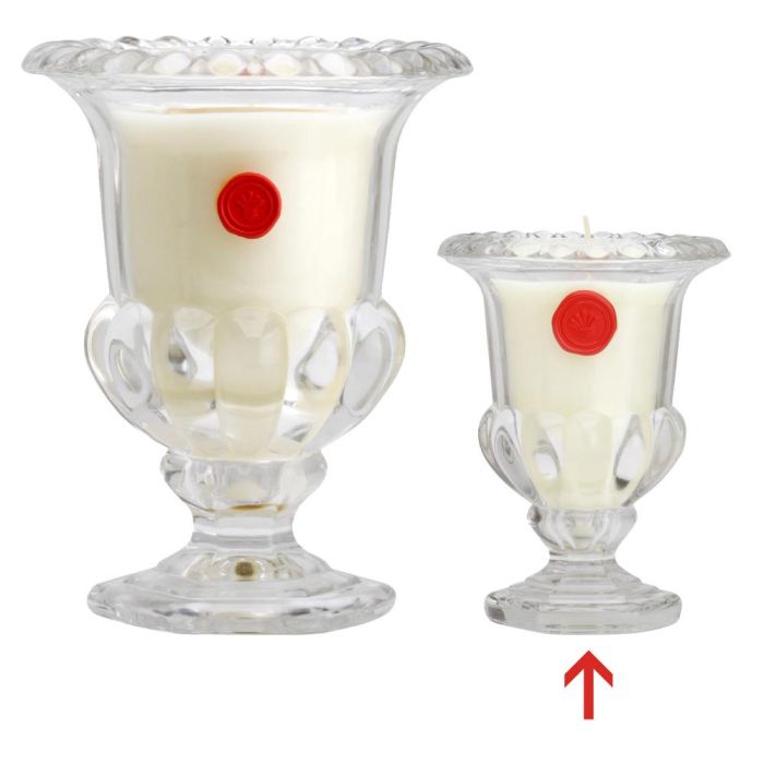 Home Deco Factory Vela Perfumada Peonía en Jarrón de Vidrio 167g - d.12 cm h.15 cm 4 Home Deco Factory Vela Perfumada Peonía en Jarrón de Vidrio 167g - d.12 cm h.15 cm 4