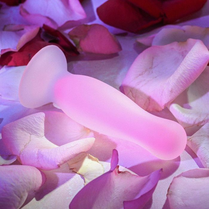 Plug Anal Evolved Rosa 5 Plug Anal Evolved Rosa 5