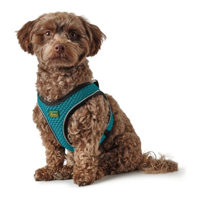 Hunter Arnés Hilo Comfort M Turquesa Cuello 55-60cm Pecho 58-65cm Malla 3D Ligero Transpirable Reflectante para Perro 4 Hunter Arnés Hilo Comfort M Turquesa Cuello 55-60cm Pecho 58-65cm Malla 3D Ligero Transpirable Reflectante para Perro 4