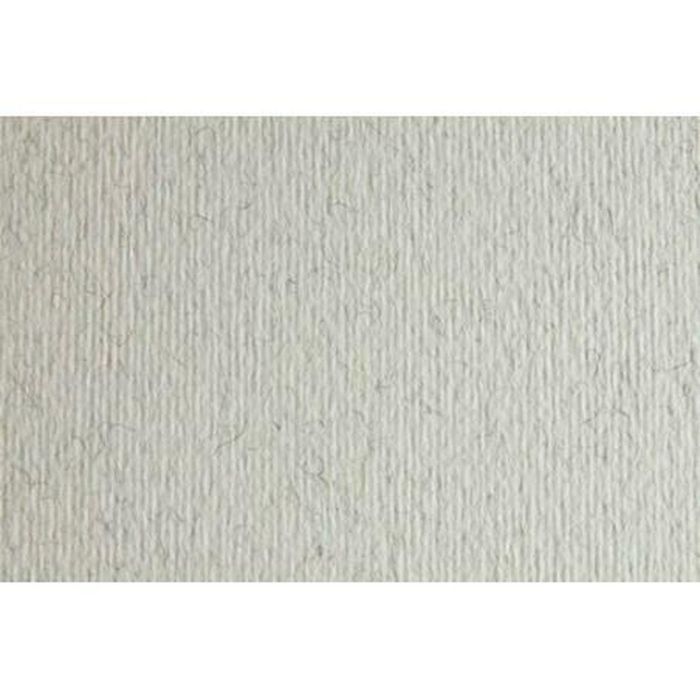 Cartulina Sadipal LR 220 Gris claro Texturizada 50 x 70 cm (20 Unidades) 1