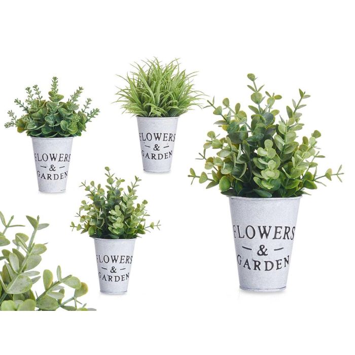 Planta Flor Verde Envejecid Bote Metal 23Cm Surtidos Ibergarden (12 Unidades) 0 Planta Flor Verde Envejecid Bote Metal 23Cm Surtidos Ibergarden (12 Unidades) 0