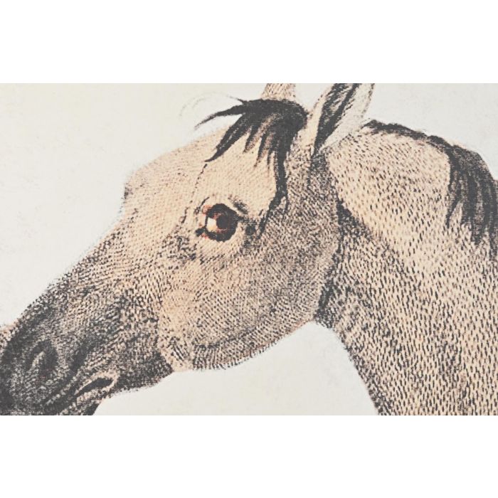 DKD Home Decor Cuadro Decorativo Glam Caballo Set de 3 Piezas de Lienzo PS Gris y Negro 180x120 cm para Pared Salón Dormitorio 2