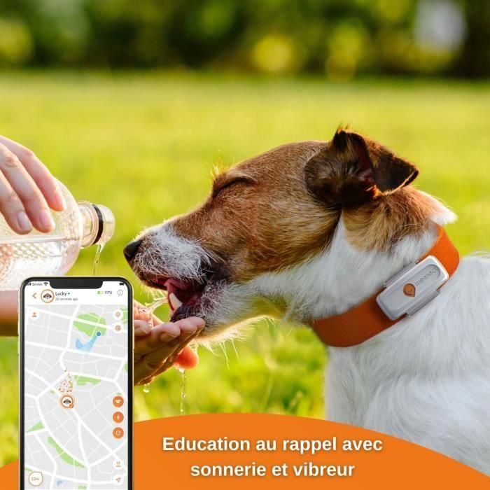 GPS Tracker for Dogs - Weenect XS (Edición White 2023) 4