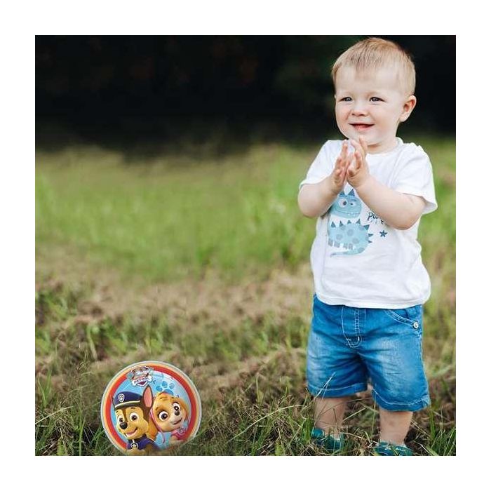 Pelota bioball paw patrol 140mm - modelos surtidos 6 Pelota bioball paw patrol 140mm - modelos surtidos 6