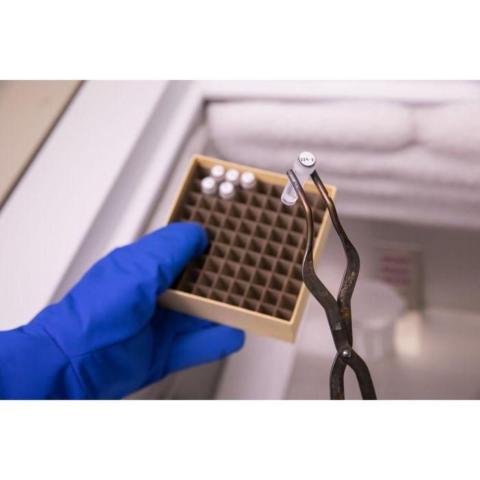 Brady Ultra Thin Polyester, 9.54mm diameter, White, 240pcs 2