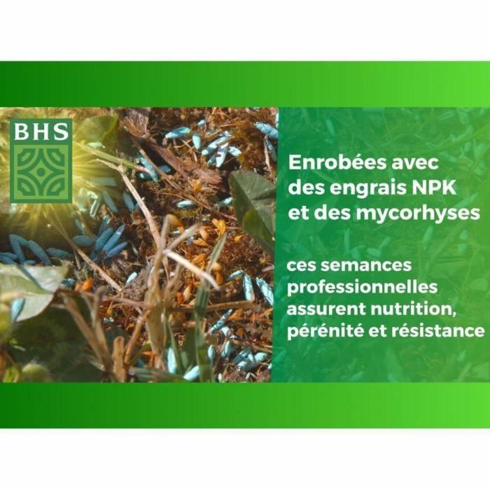 BHS Césped Inglés BHS3366670001141 10 kg para Jardines de Alta Gama 1