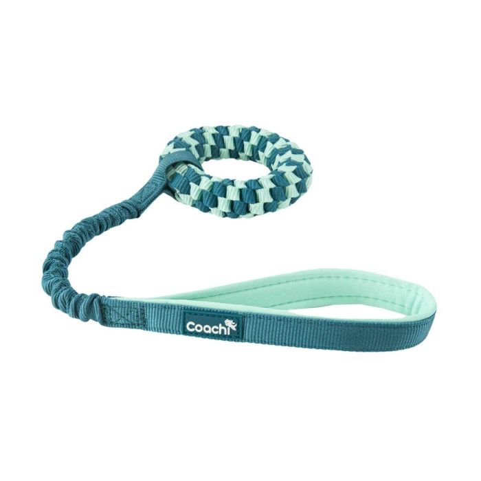 Arnés para Perro Coachi 4